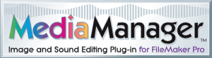 small_plugin_mediamanager