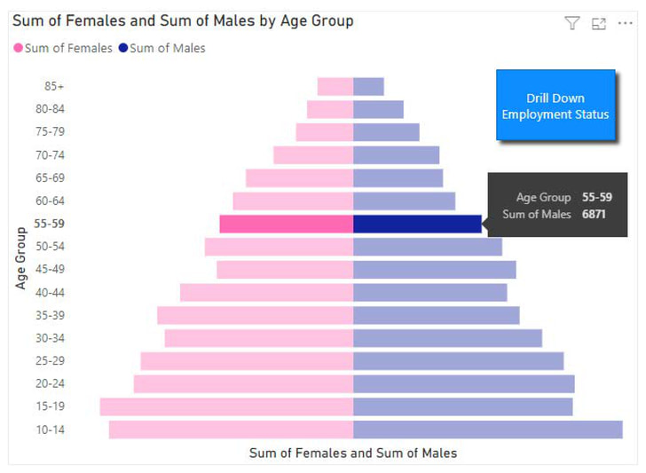 Pyramid chart displaying the sum of females and males by age group. The left side (pink bars) represents the female population, and the right side (blue bars) represents the male population, with age groups listed on the vertical axis from youngest (0-4) at the bottom to oldest (85+) at the top. A tooltip highlights the 55-59 age group, showing that the male population in this group is 6,871. There is a button labeled 'Drill Down Employment Status' on the right side of the chart, suggesting an option to view additional data on employment.